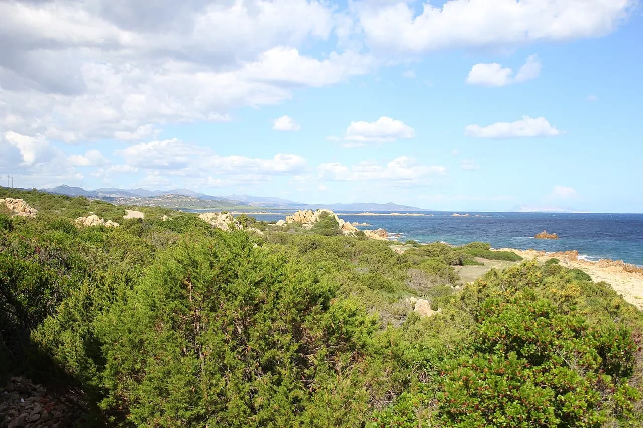 Agriturismo Su Cuile