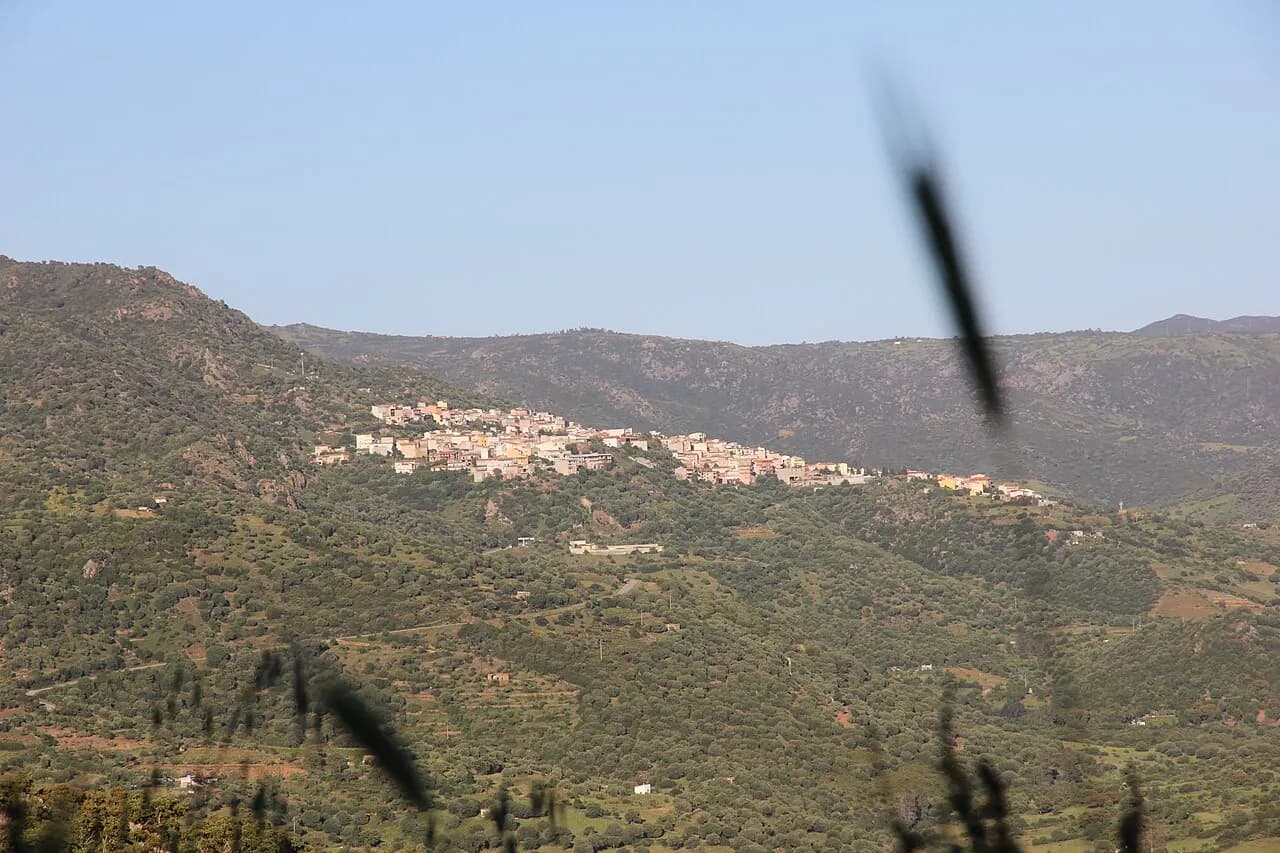 Agriturismo Su Cunzatu de Vitale